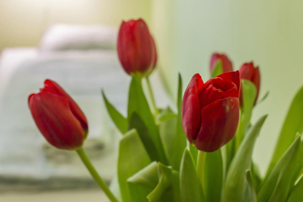 Flower Hostel Kraków